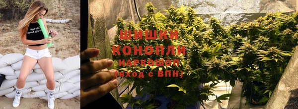 PSILOCYBIN Володарск