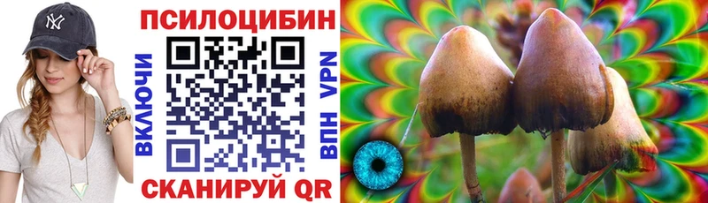 ссылка на мегу как войти  Дятьково  Галлюциногенные грибы Cubensis 